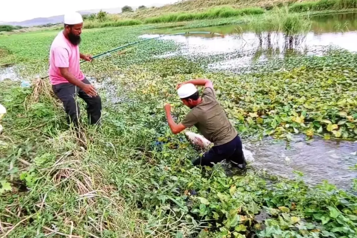 (ویدئو) ماهیگیری تماشایی و باورنکردنی این دو نفر در یک تالاب کم عمق
