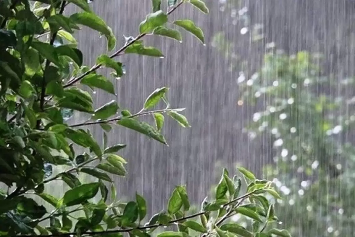 بارش پراکنده باران در شمال کشور/ هشدار نارنجی در ۲ استان
