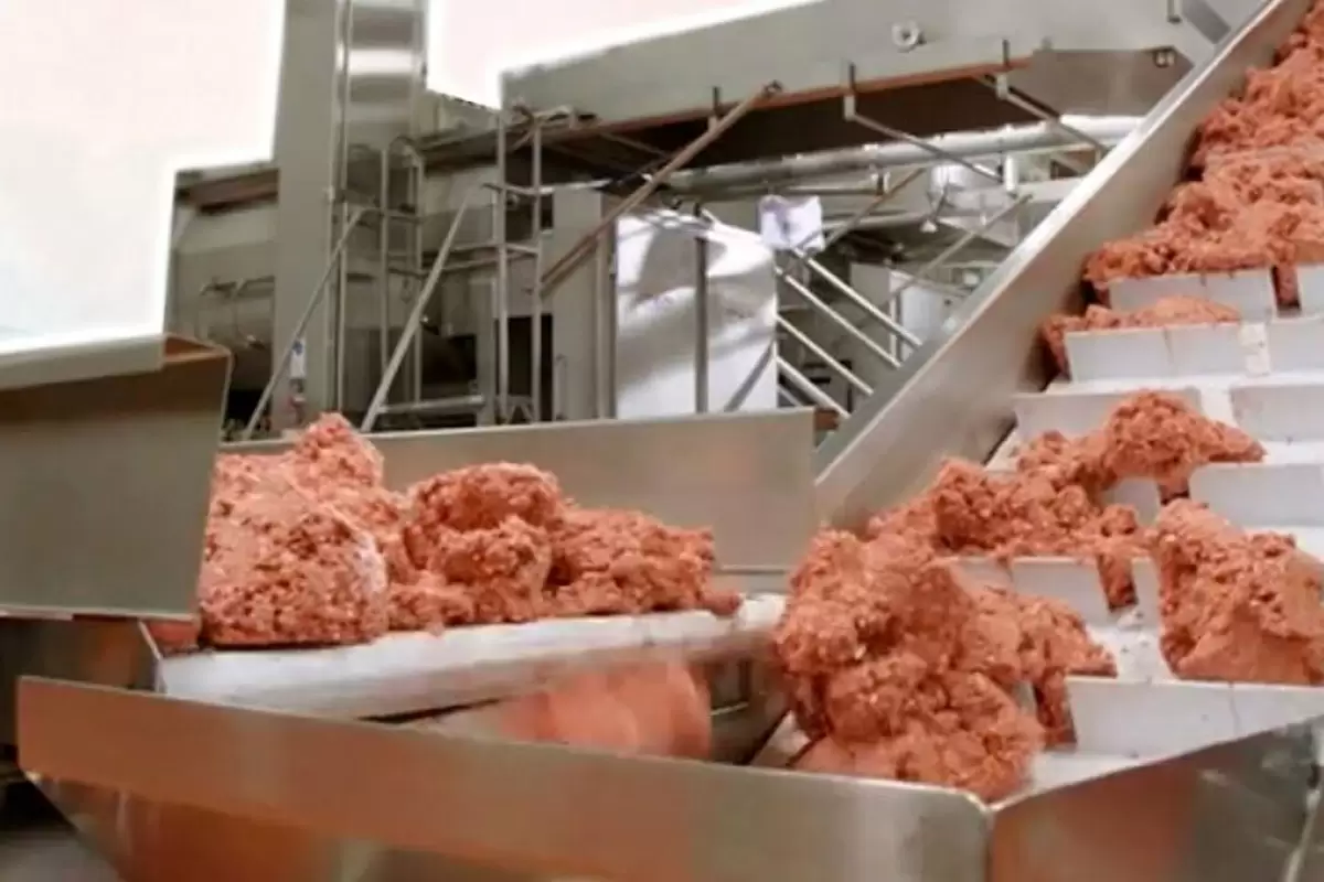 (ویدئو) فرایند شگفت انگیز تولید گوشت گیاهی در یک کارخانه چینی