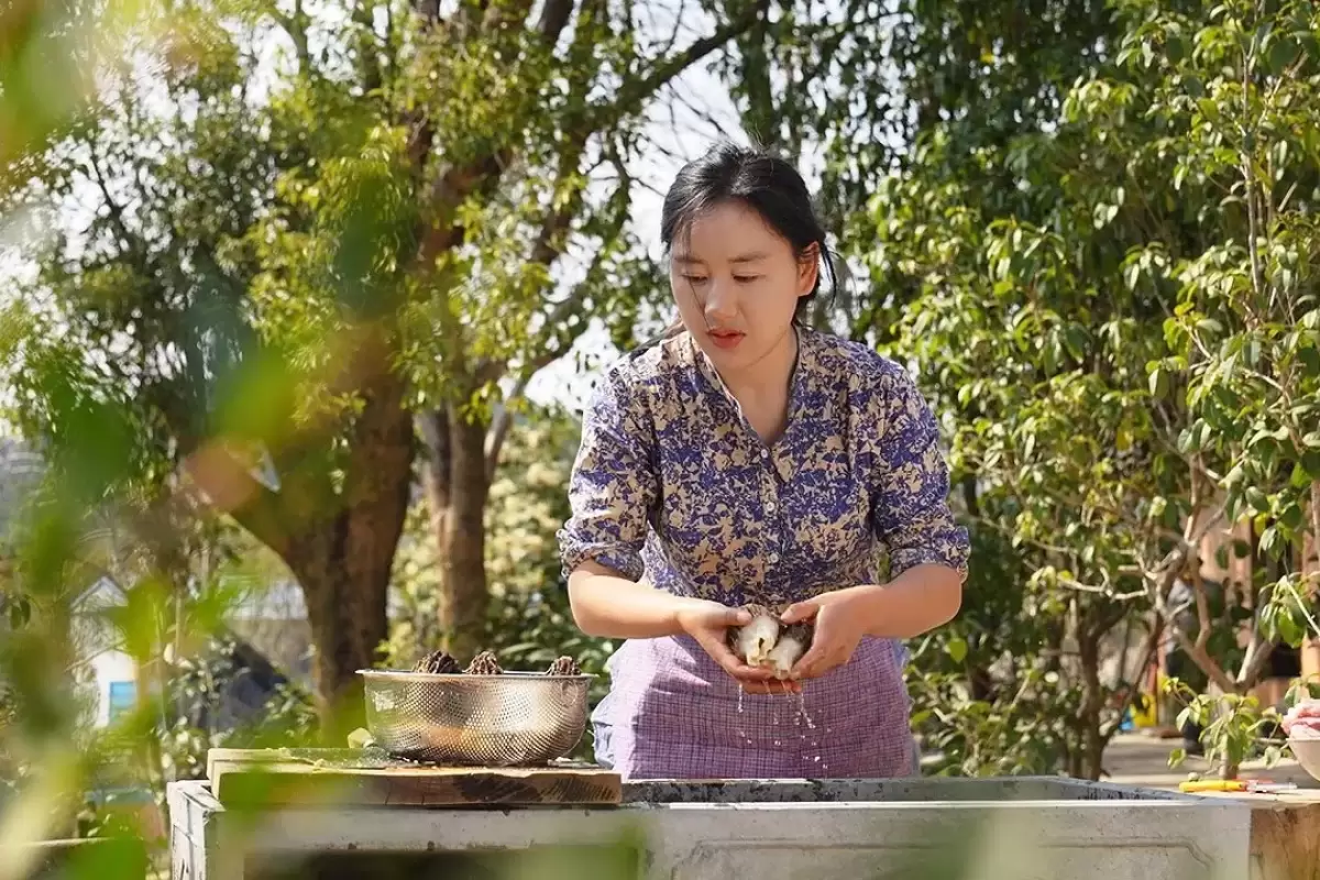 (ویدئو) روش مبتکرانه دختر روستایی چینی برای برداشت قارچ در مزرعه و پخت یک غذای خارق العاده