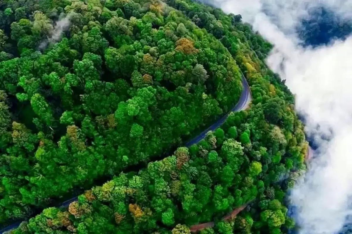 جاهای دیدنی استان گیلان برای سفر با جاباما