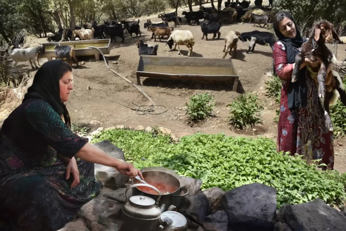 (ویدئو) پخت هیجان انگیز خورشت خلال توسط این دو زن عشایر کردستانی