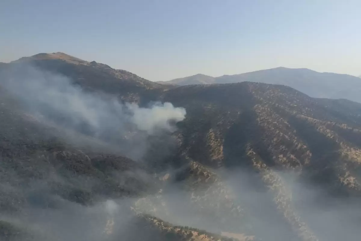 آتش‌سوزی در پارک ملی سالوک
