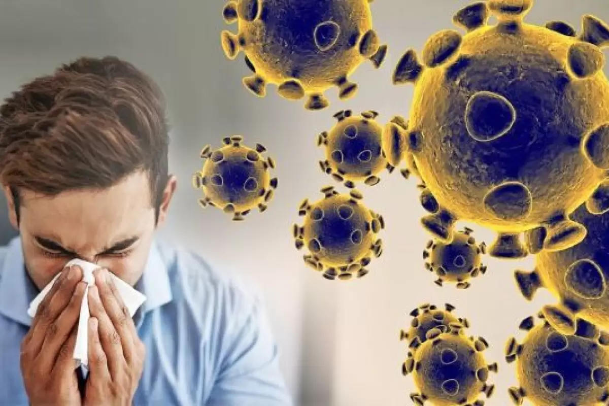ویروس آنفولانزا، در رتبه اول ویروس‌های در گردش +عکس