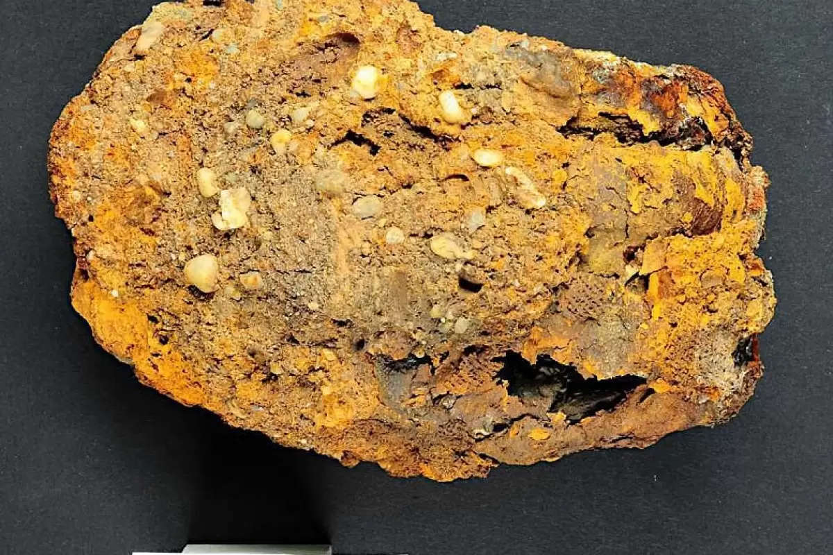 کشف یک اسکلت 500 ساله با «دست آهنی» در آلمان (تصاویر)