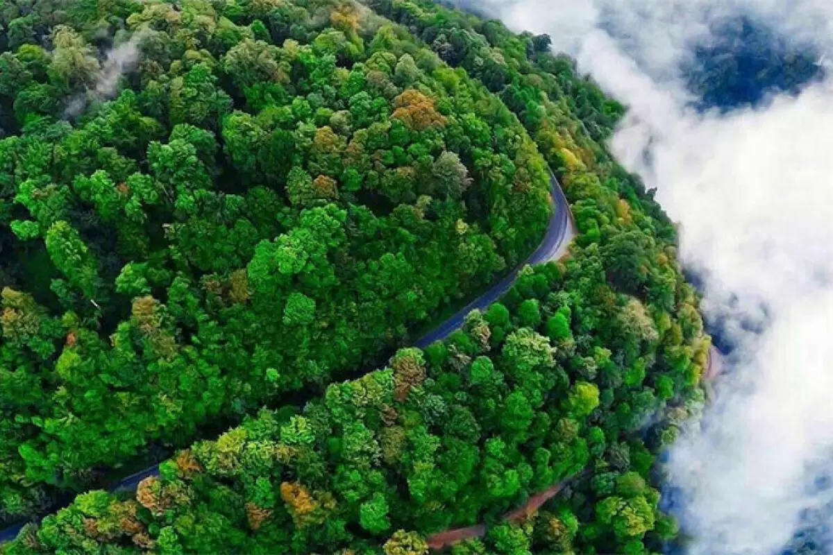 (تصاویر) تماشای پادشاه فصل‌ها، فقط در این جاده