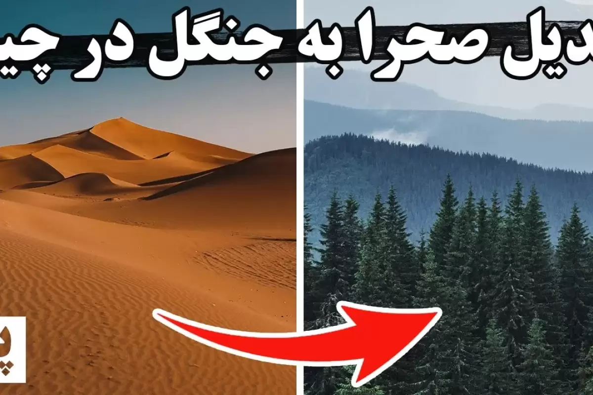 (ویدئو) ببینید چینی ها چگونه بیابان های خود را به جنگل تبدیل می کنند