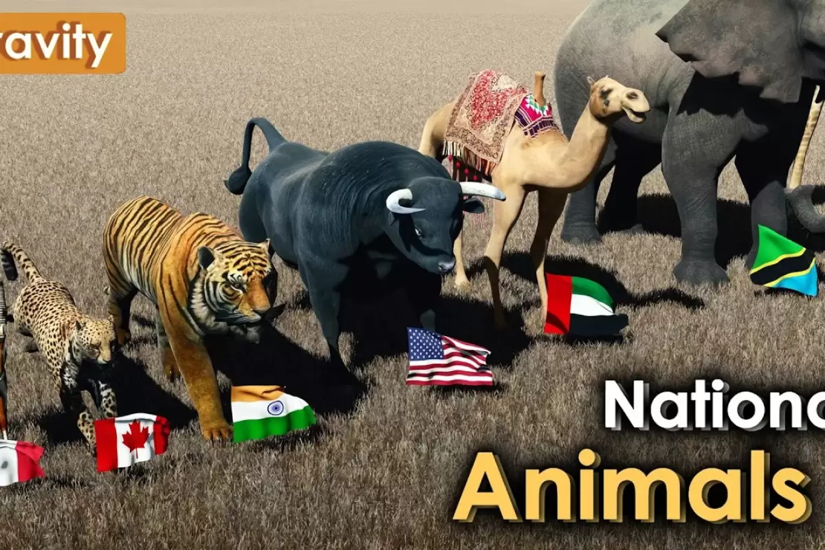 (ویدئو) حیوان نماد کشورهای مختلف جهان را بشناسید