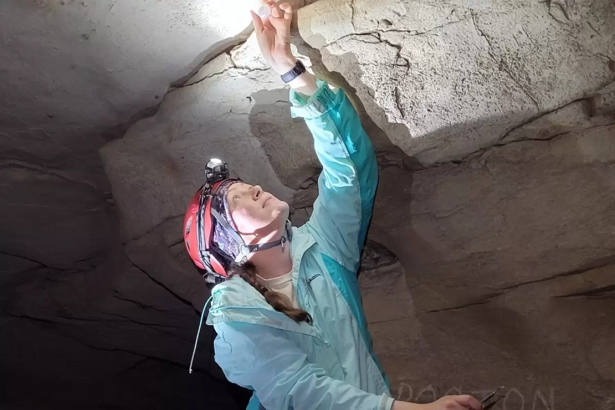 (تصاویر) «دندان» یک کوسۀ باستانی ناشناخته در دیوار غار پیدا شد!