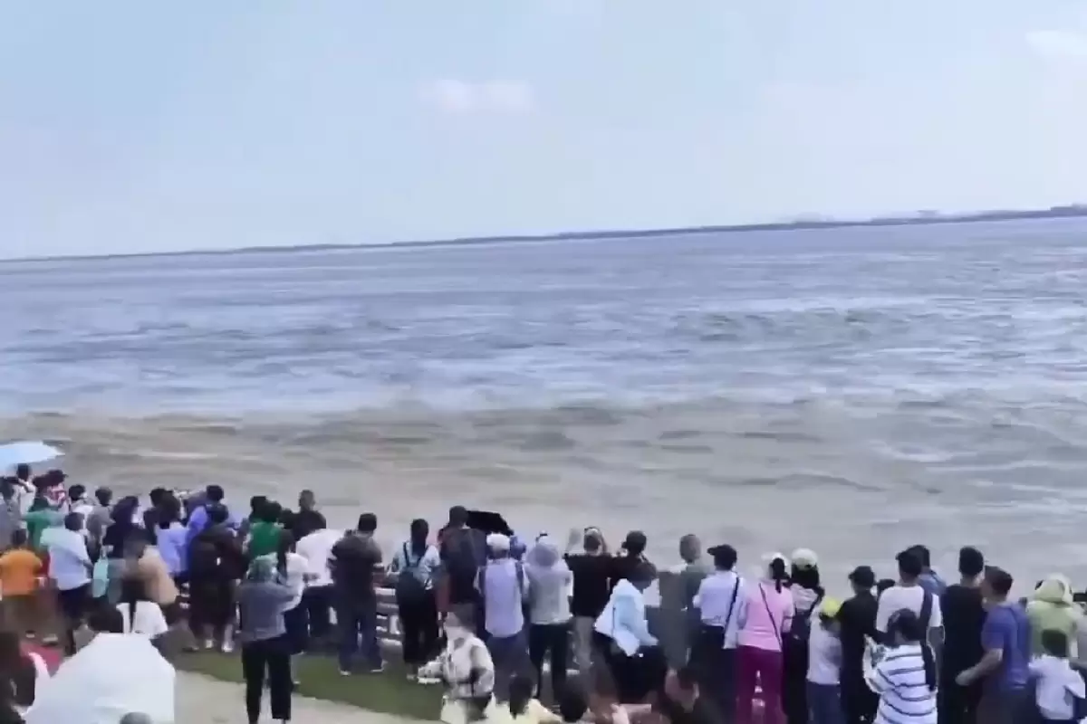 (ویدئو) موج ناگهانی دریا ده‌ها نفر را سرنگون کرد