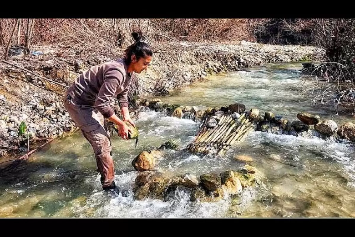 (ویدئو) ساخت یک تله ابتکاری برای صید ماهی با شاخه درخت توسط دختر روستایی