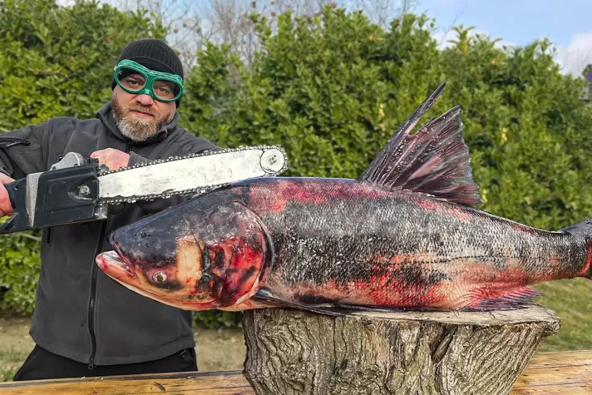 (ویدئو) پخت ماهی غول پیکر 13 کیلوگرمی در تنور به سبک آشپز مشهور روسی