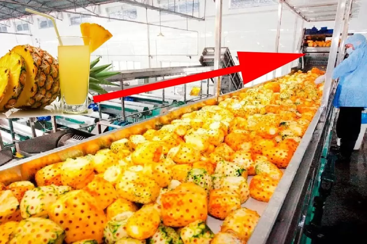 (ویدئو) فرآیند شگفت انگیز تولید آب آناناس در داخل کارخانه