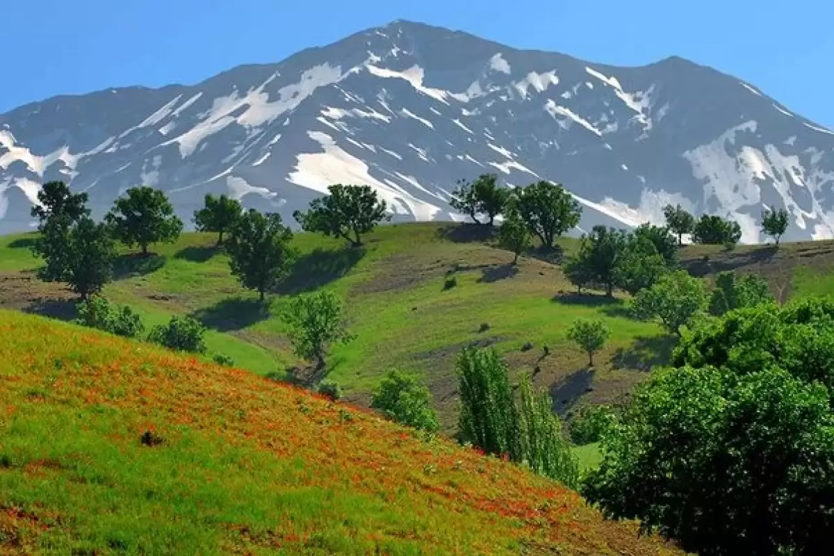 ببینید | طبیعت چشم‌نواز کوهرنگ در چهارمحال و بختیاری