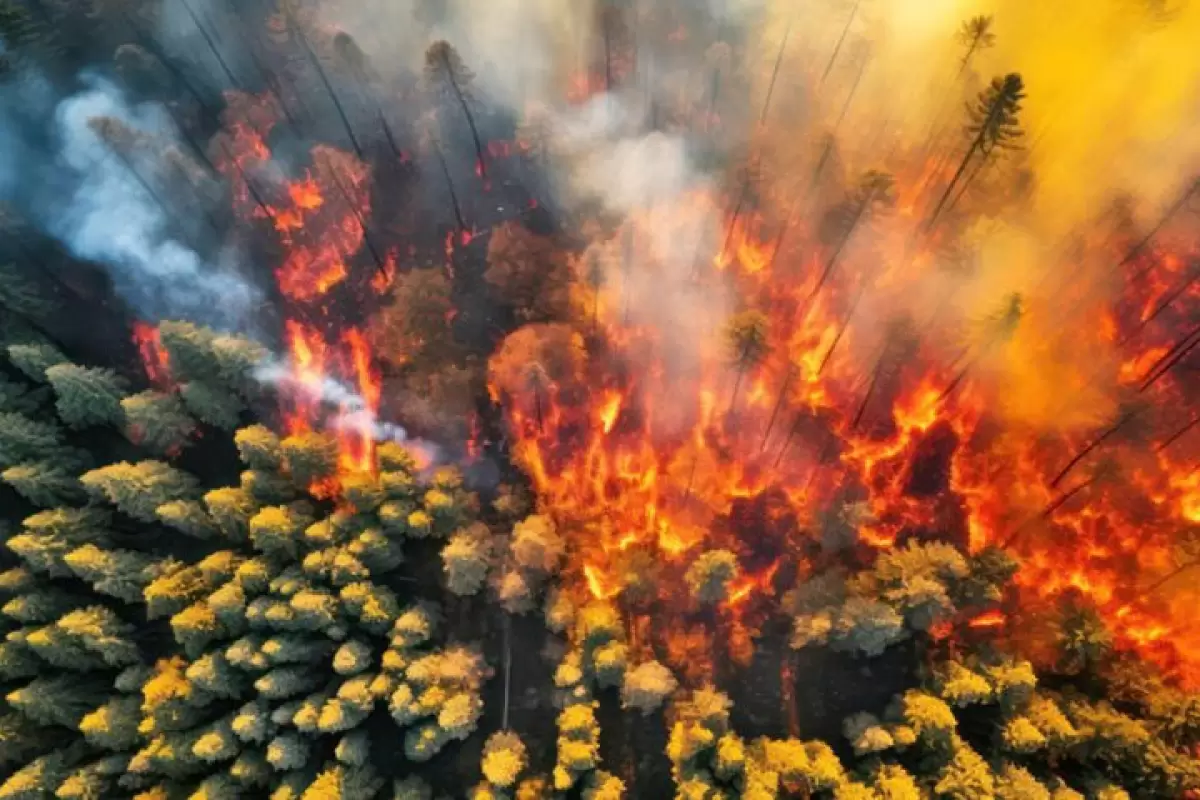 ببینید | تصاویر آخرالزمانی از آتش‌سوزی جنگل‌های آرژانتین