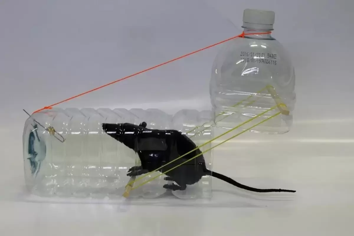 (ویدئو) ساخت تله موش کاربردی با استفاده از بطری پلاستیکی نوشابه