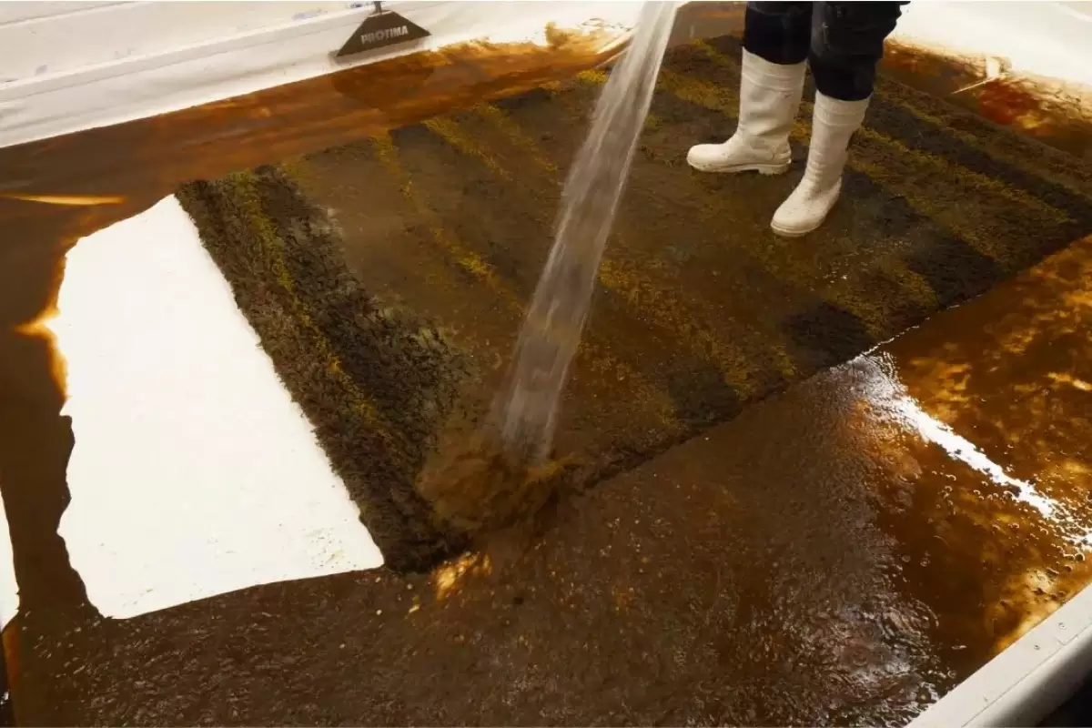 (ویدئو) شست و شوی حیرت انگیز یک فرش فوق کثیف با هزینه 5 میلیون تومان