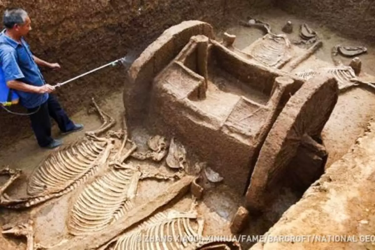 ۱۰ نمونه از عجیب‌ترین آثار باستانی جهان که به‌صورت تصادفی پیدا شده‌اند