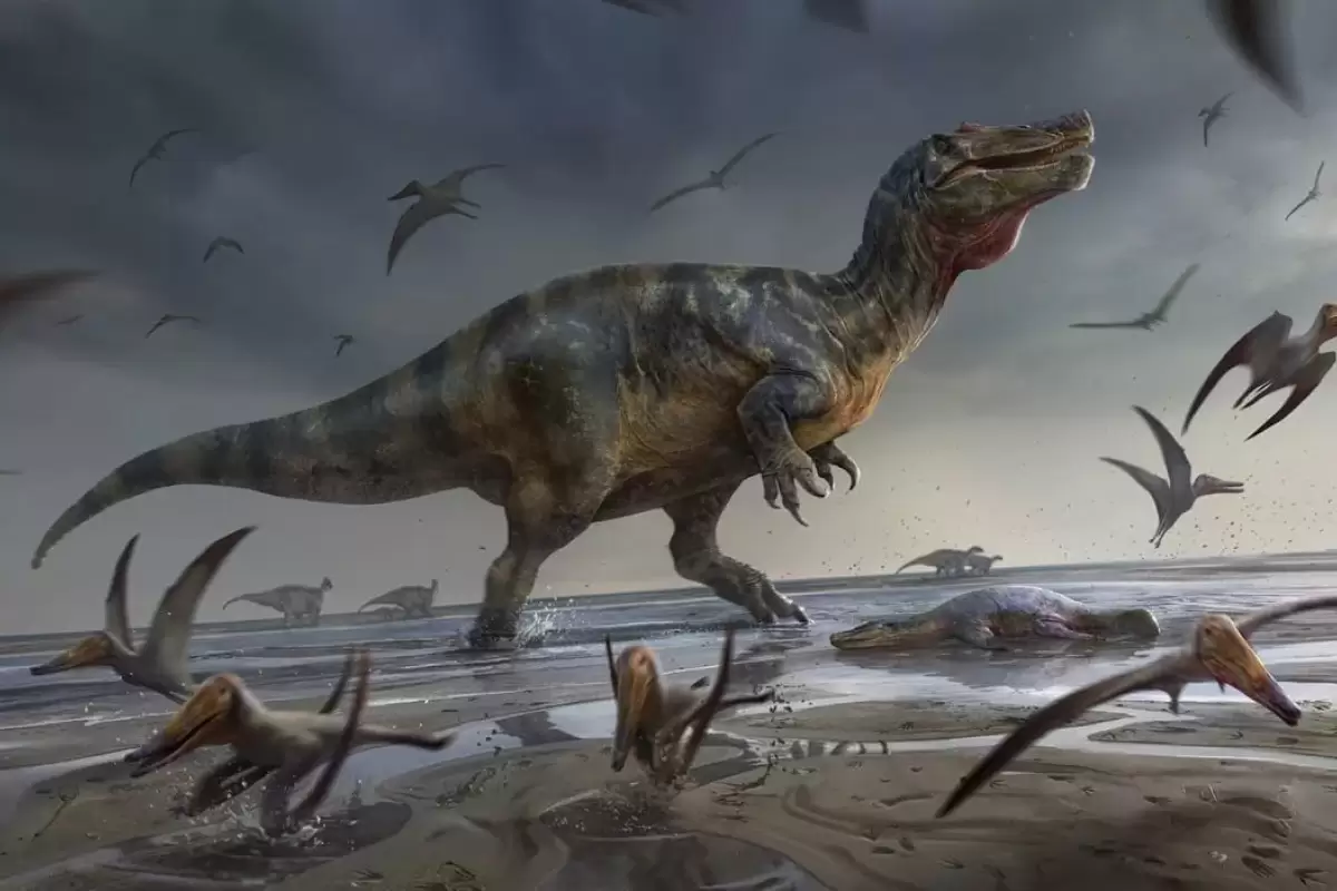 (عکس) کشف فسیل ۲۶۵ میلیون ساله پامپافونوس در برزیل