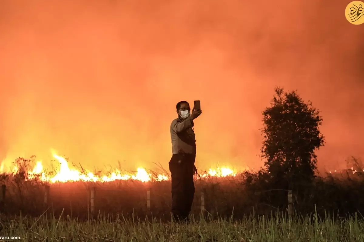 (ویدئو) آتش‌سوزی‌ مناطق جنگلی سوماترای اندونزی را ویران کرد