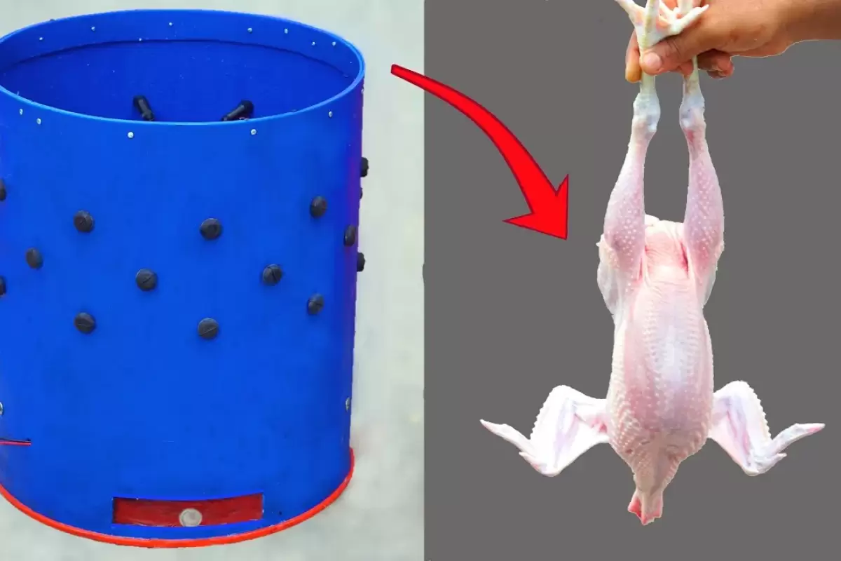 (ویدئو) نحوه ساخت دستگاه پر کن مرغ با بشکه پلاستیکی