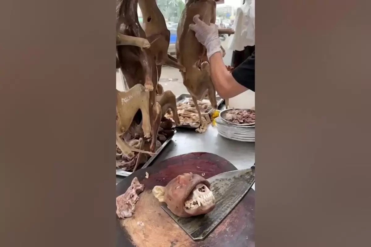 (ویدئو) فروش کله پاچه سگ در چین!