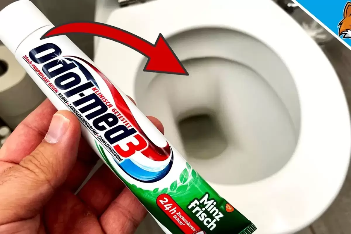 (ویدئو) اگر سنگ توالت را با خمیر دندان بشویید، چه اتفاقی می افتد؟