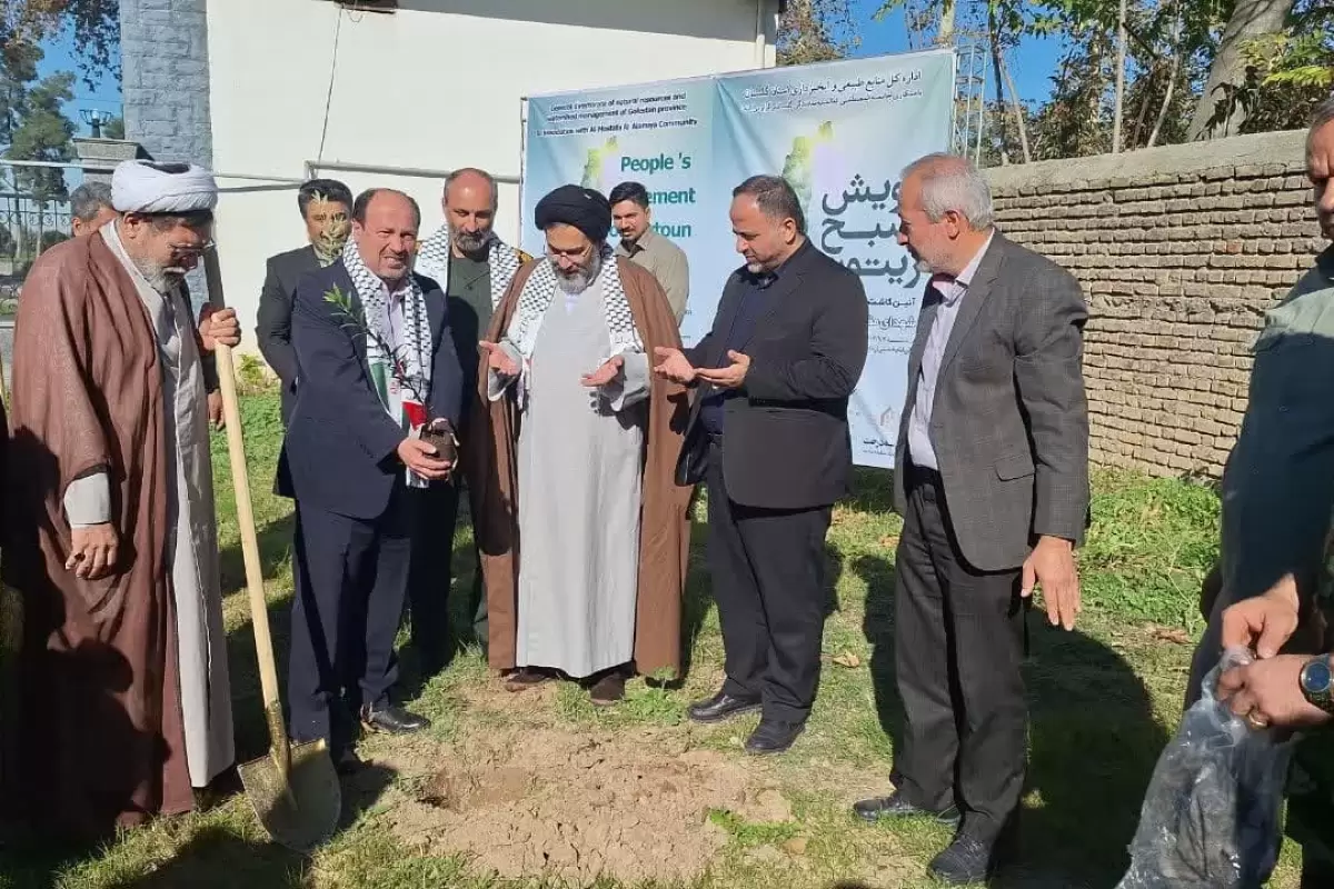کاشت ۲۵۰ نهال زیتون در هرشهرستان