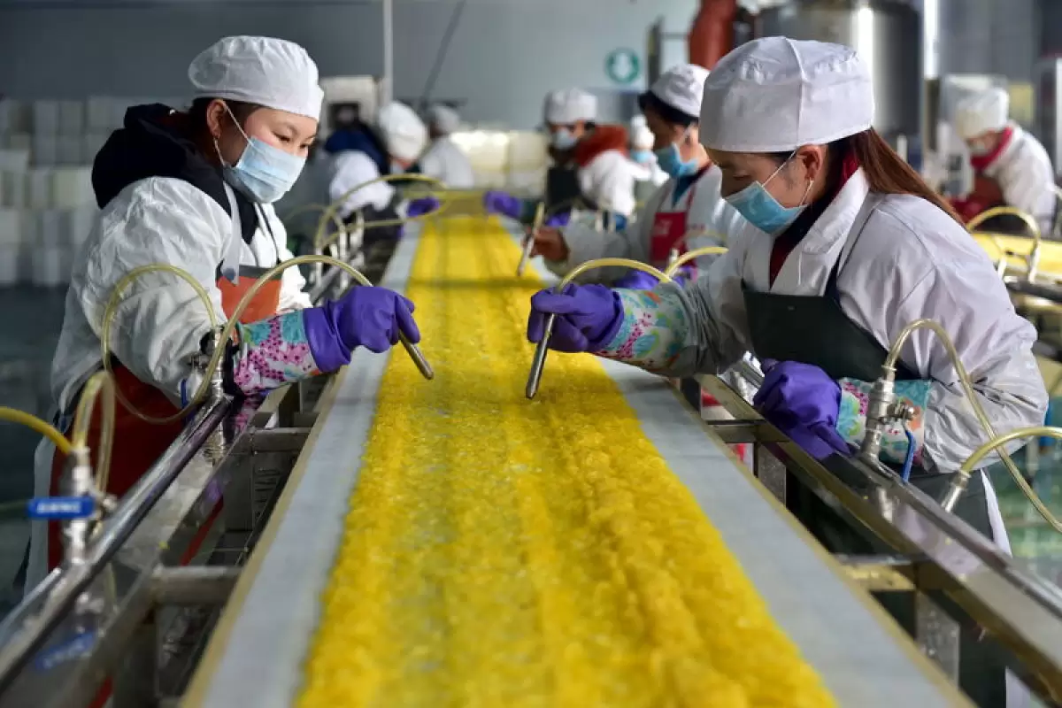 اژدهای زرد در رکود فرو رفته است؟/ ارزیابی شاخص‌ها از اقتصاد چین