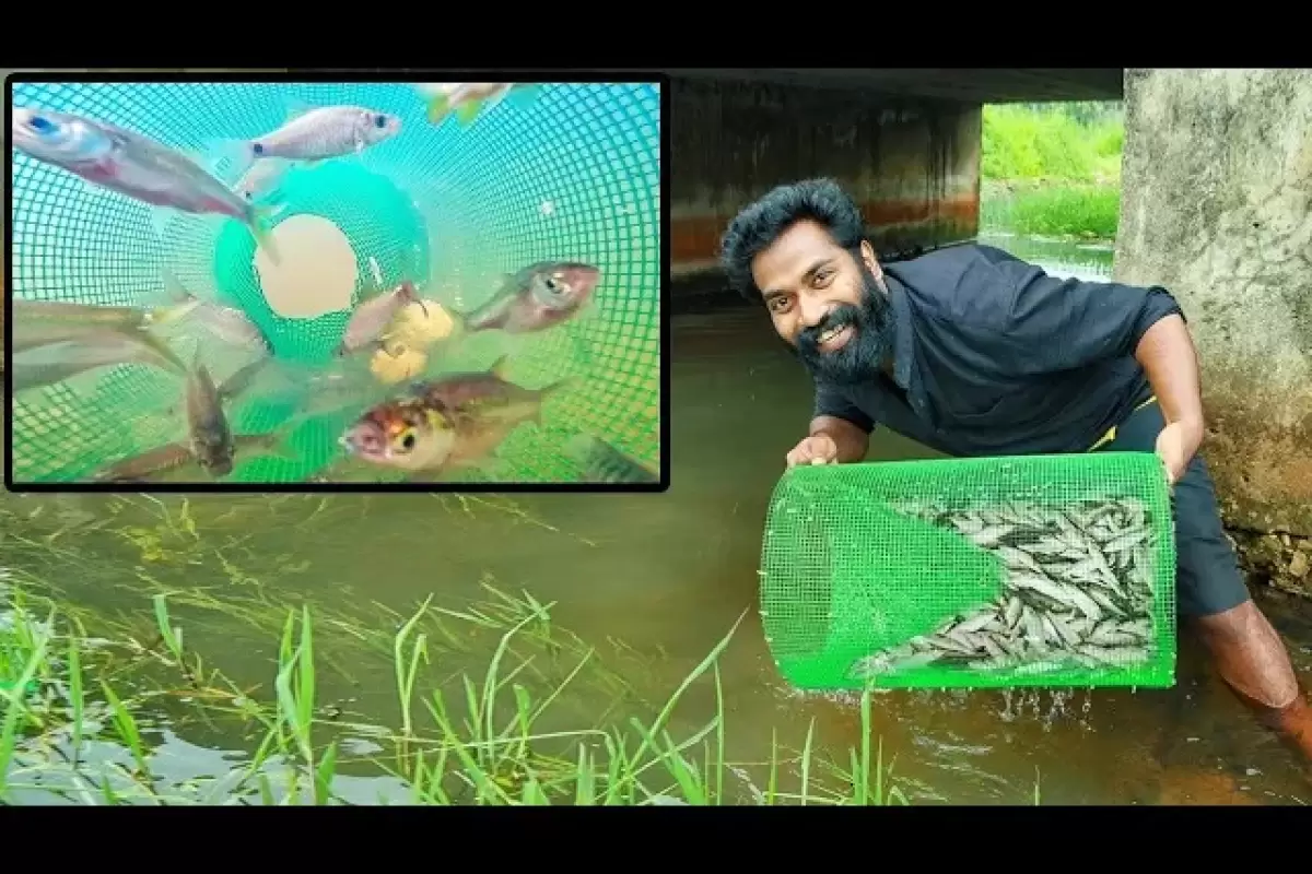 (ویدئو) مهارت این جوان هندی در ساخت تله ماهی و ماهیگیری با آن