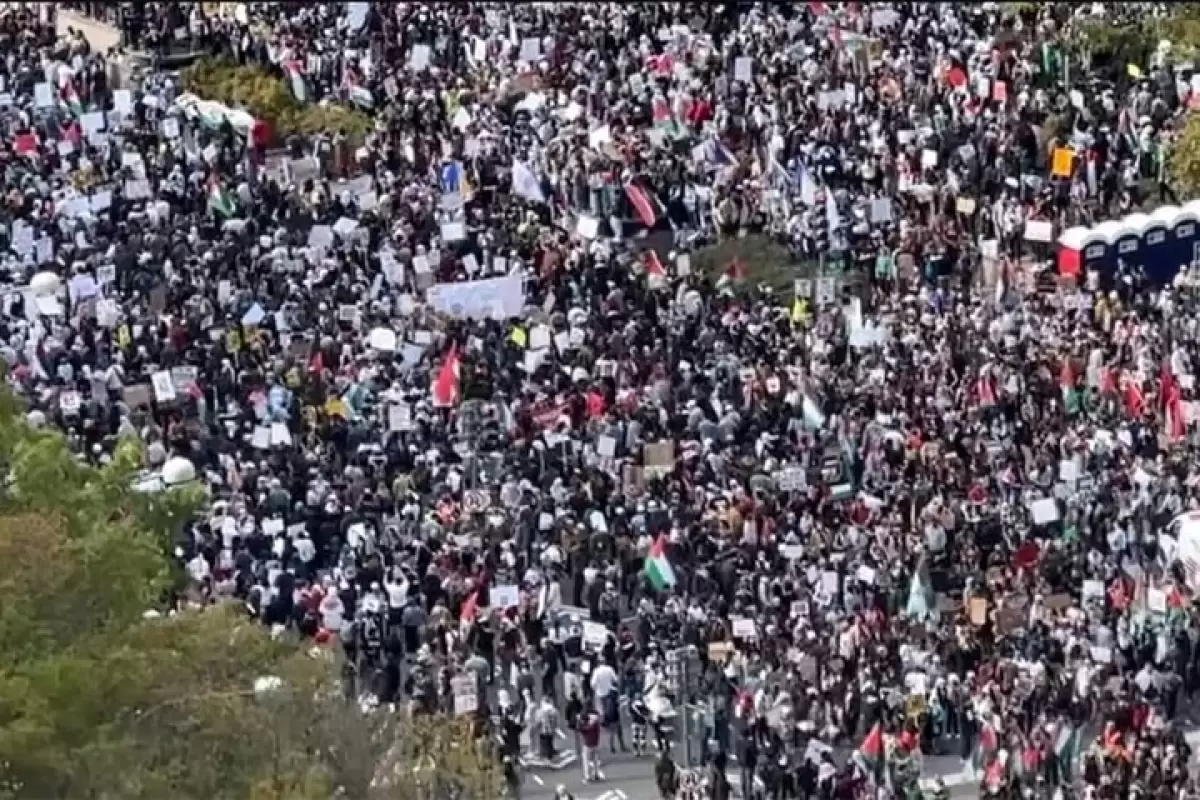 ببینید | تجمع اعتراضی مردم واشنگتن در حمایت از فلسطین