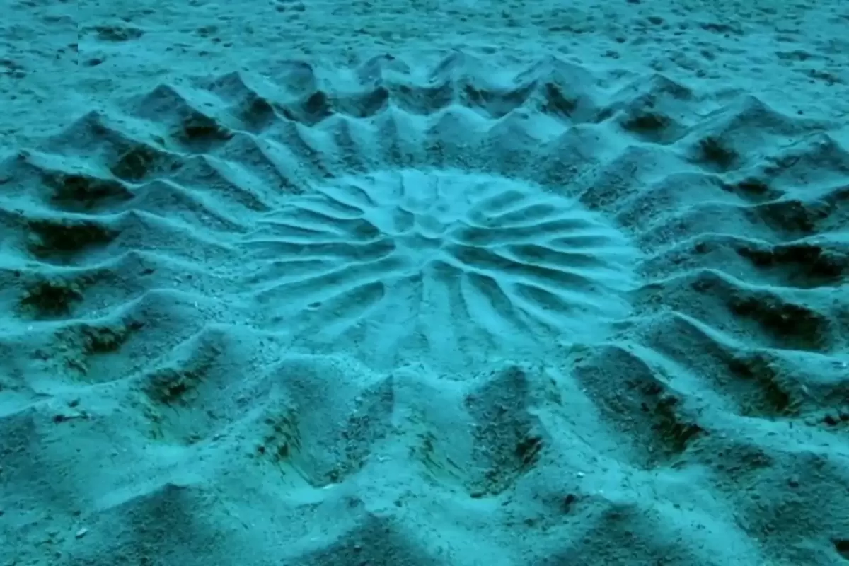 راز اشکال هندسی عجیبی که در بستر دریا مشاهده شدند