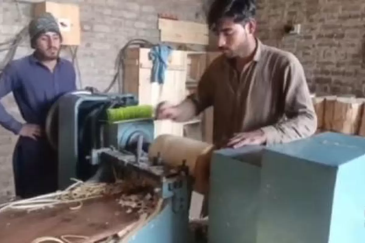 (ویدیو) خط تولید غیربهداشتی چوب بستنی