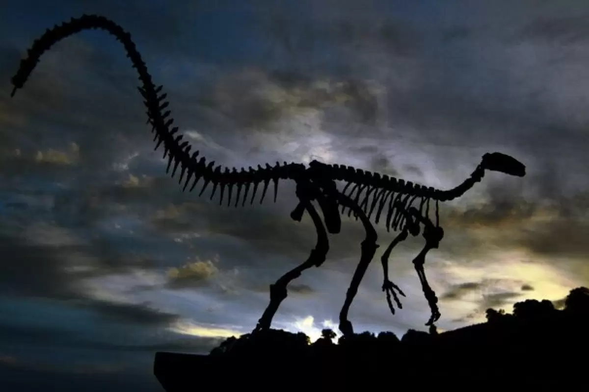 یک دایناسور جدید در بزریل پیدا شد