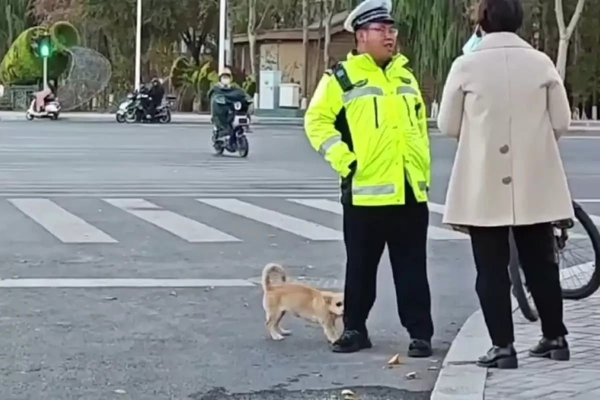 (ویدئو) سگی که پاچه پلیس راهنمایی و رانندگی را رها نمی‌کند!