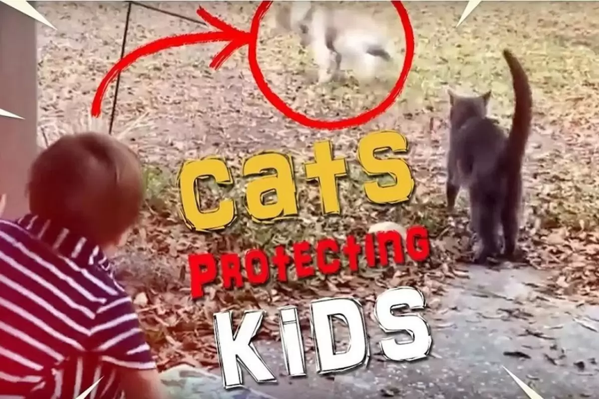 (ویدئو) لحظه‌های حیرت انگیز نجات کودکان توسط گربه‌های شجاع