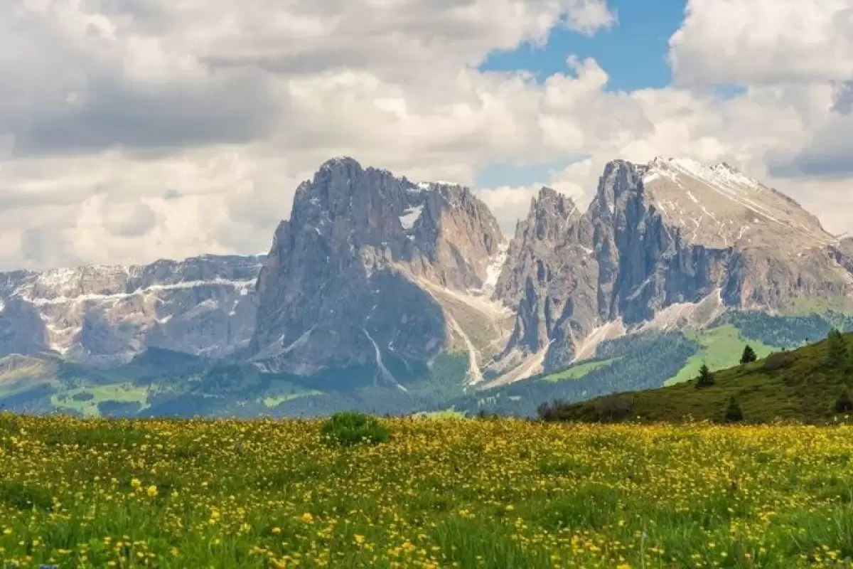 معمای ۲۰۰ ساله حل شد