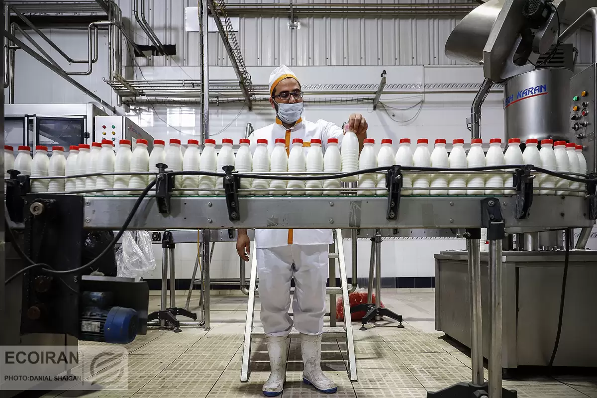 ایران در آسیا اول شد؛ رشد 16.5 درصدی صادرات شیر