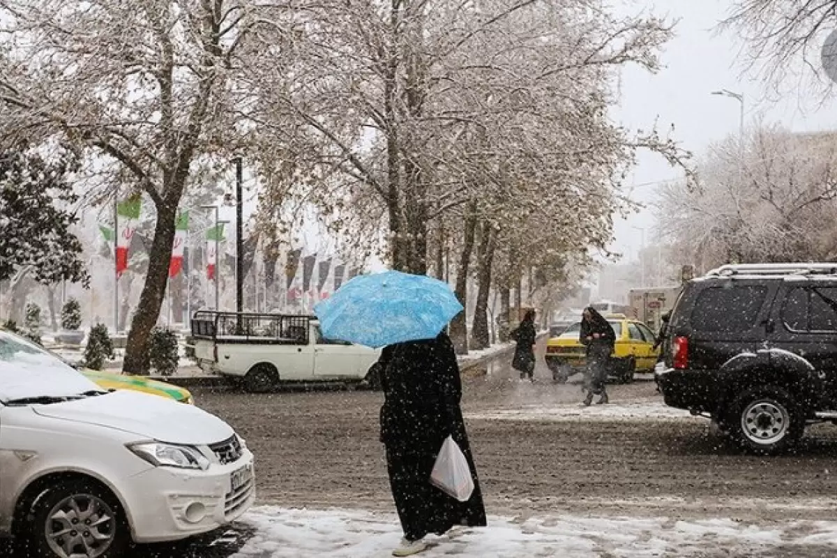 ببینید | تصاویر زیبا از بارش باران در تهران