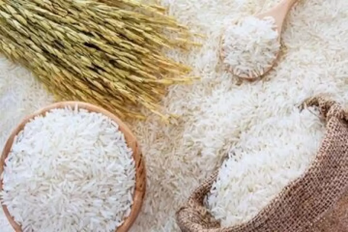جدیدترین قیمت برنج ایرانی در بازار/ برنج هاشمی و طارم عطری کیلویی چند شد؟