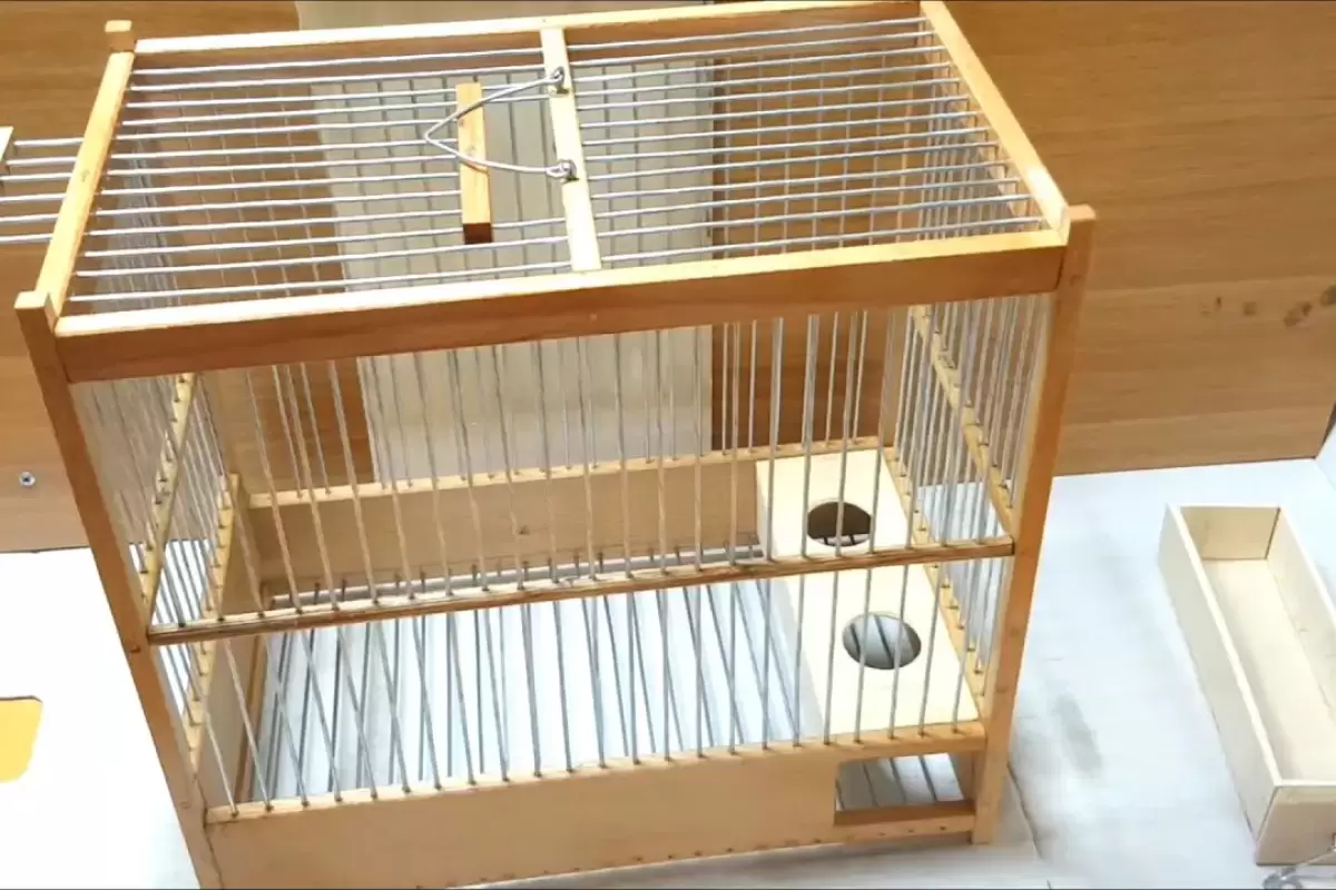 (ویدئو) چگونه یک قفس پرنده با تمام جزئیات بسازیم؟