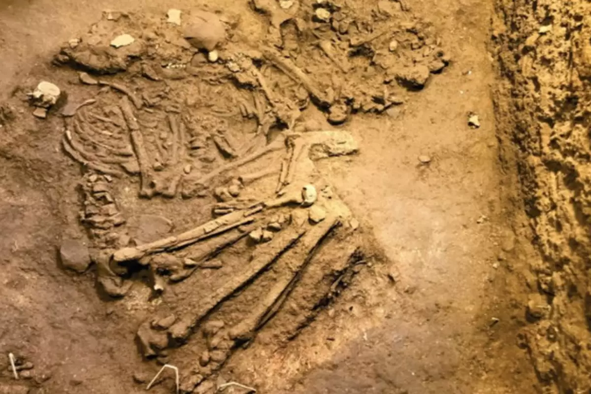 (تصاویر) کشف اسکلت 10000ساله انسان در ویتنام