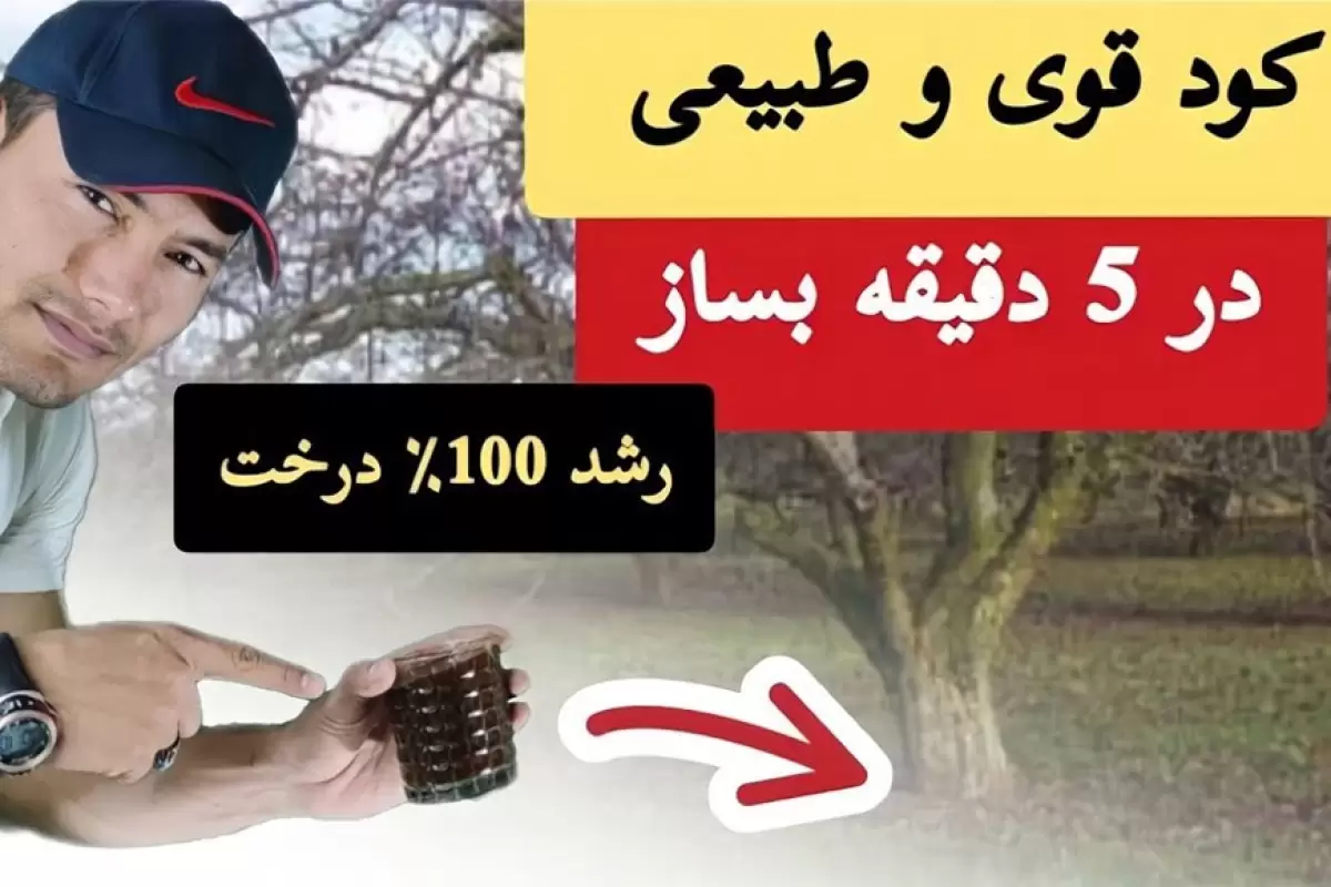 (ویدئو) این کود قوی و طبیعی رو 5 دقیقه ای توی خونه برای گیاهانت درست کن