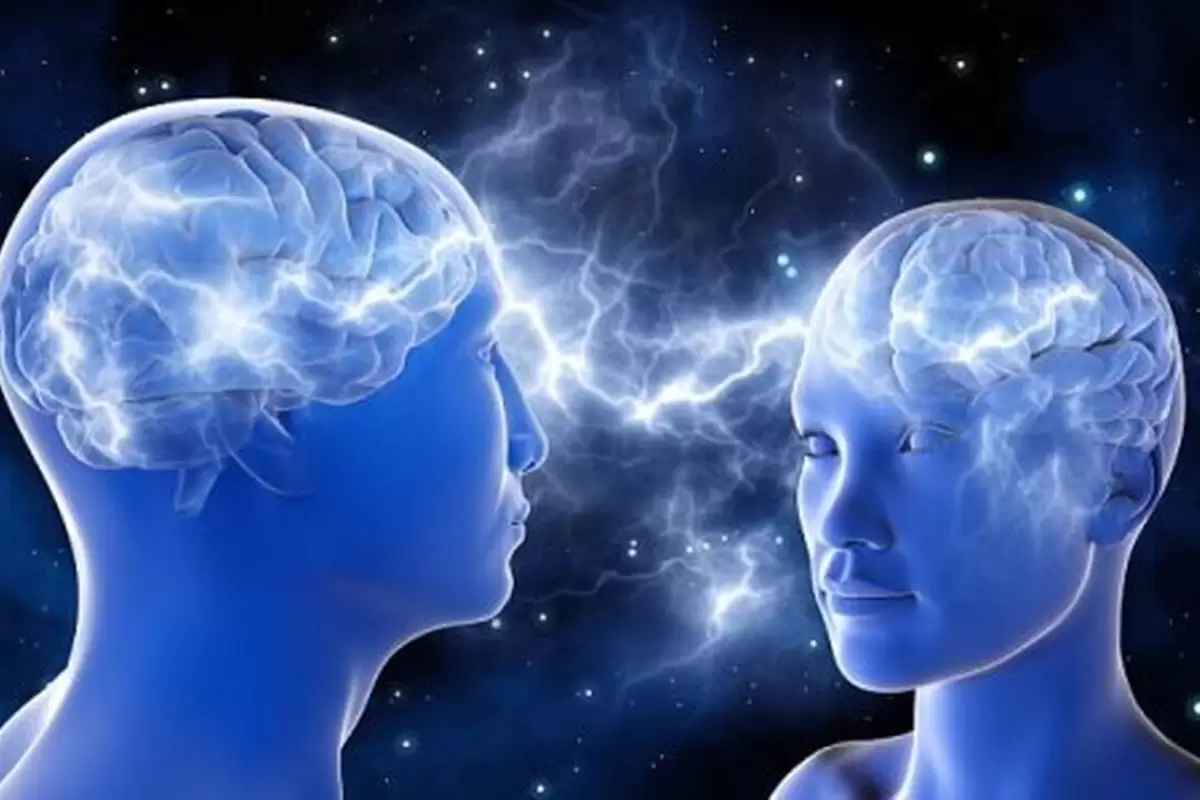 تفاوت بین مغز زنان و مردان؛ کدامیک برتر است؟