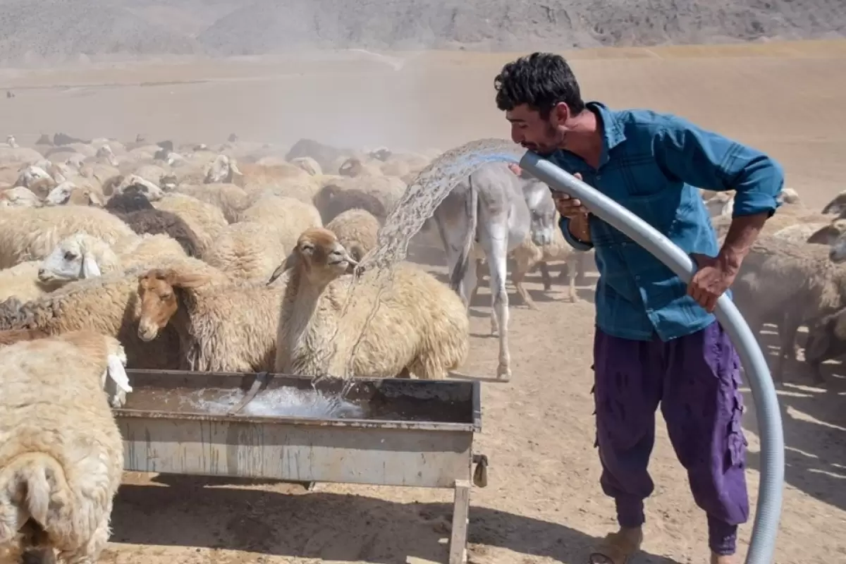 دستور استاندار برای تامین آب شرب موردنیاز عشایر فارس