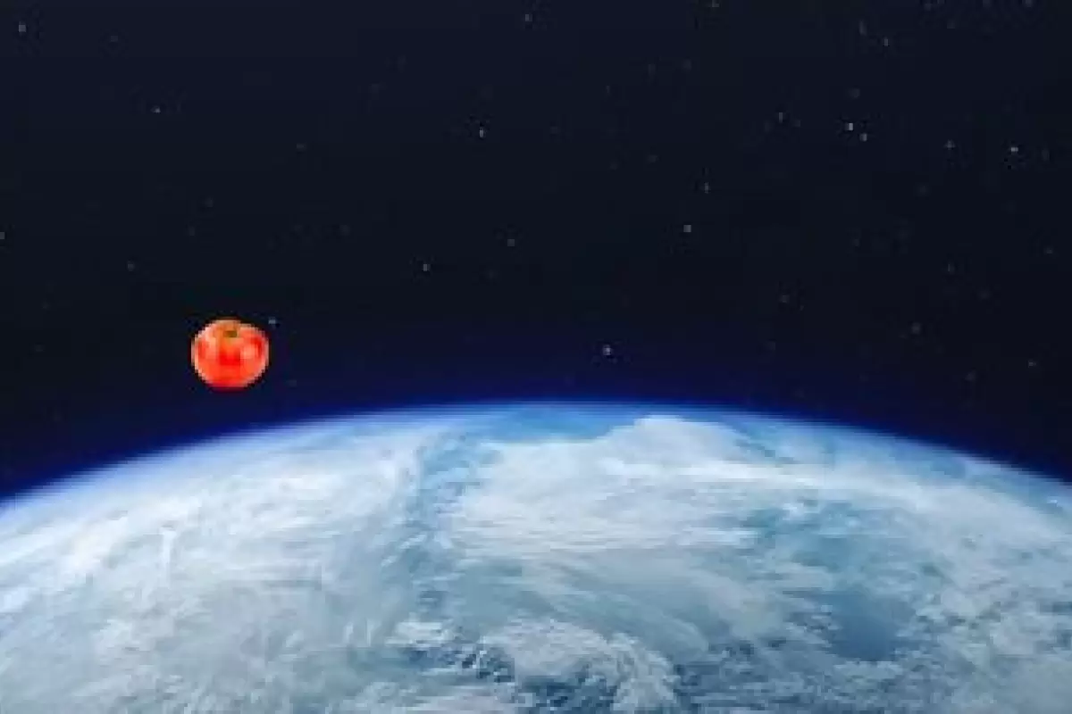 معمای گم‌شدن گوجه‌فرنگی در ماموریت تاریخی ایستگاه فضایی بین‌المللی