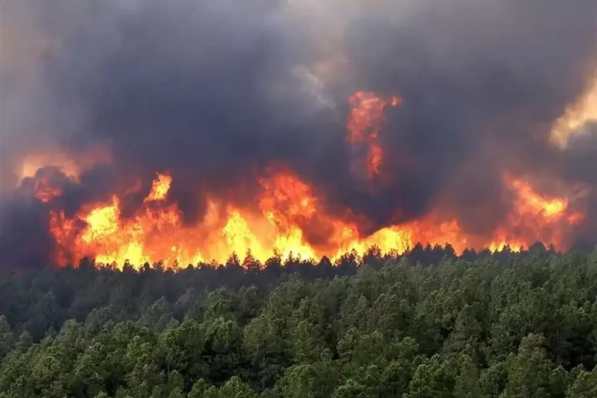 هشدار مدیریت بحران نسبت به آتش‌سوزی در جنگل‌های مازندران