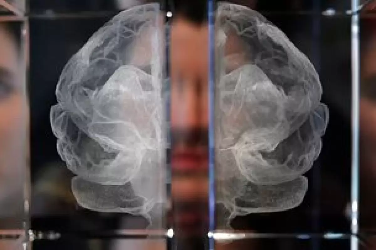 مغز مرد و زن متفاوت است؟