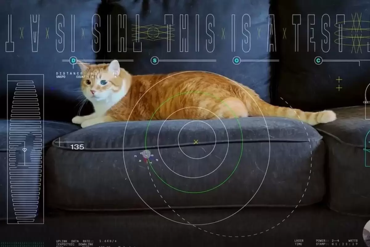 (ویدئو) گربه فضایی ناسا؛ تصاویر «میو» از فاصله ۳۱ کیلومتری به زمین ارسال شد