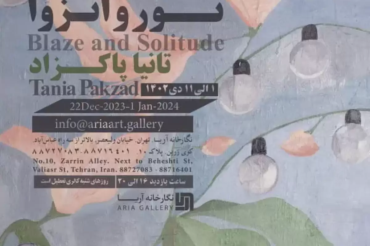 آثار تانیا پاکزاد در گالری آریا روی دیوار می‌رود